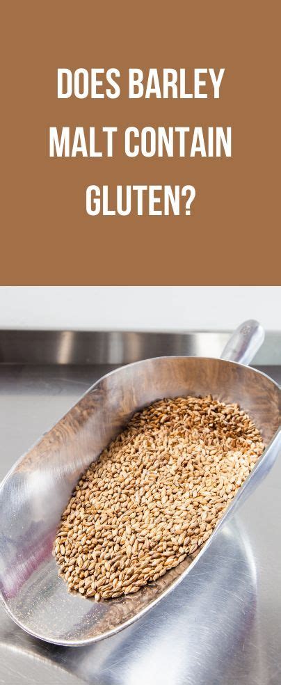 does malted barley contain gluten.